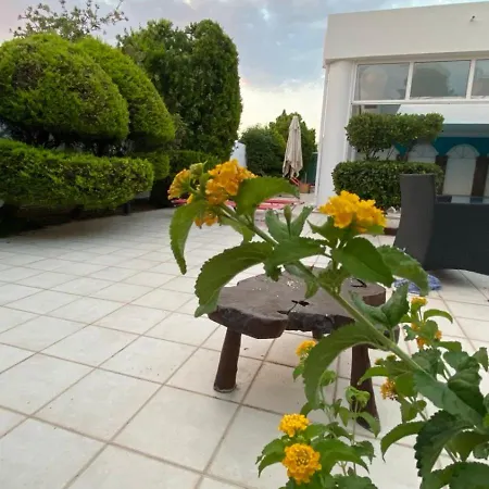 Kalloni Βόλος